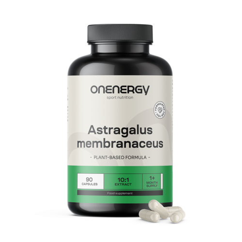 Astragalus – extract 10:1, 90 de capsule